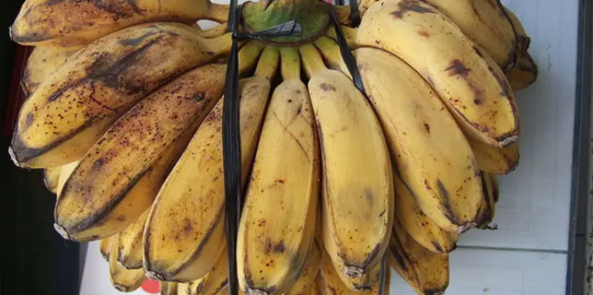 10 Manfaat Pisang Barangan Bagi Kesehatan Sumber Energi Yang Baik Untuk Diet Merdeka 