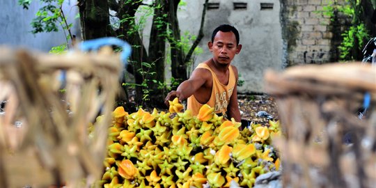 Belimbing Dewa, Buah Ikonis Kota Depok yang Kian Meredup