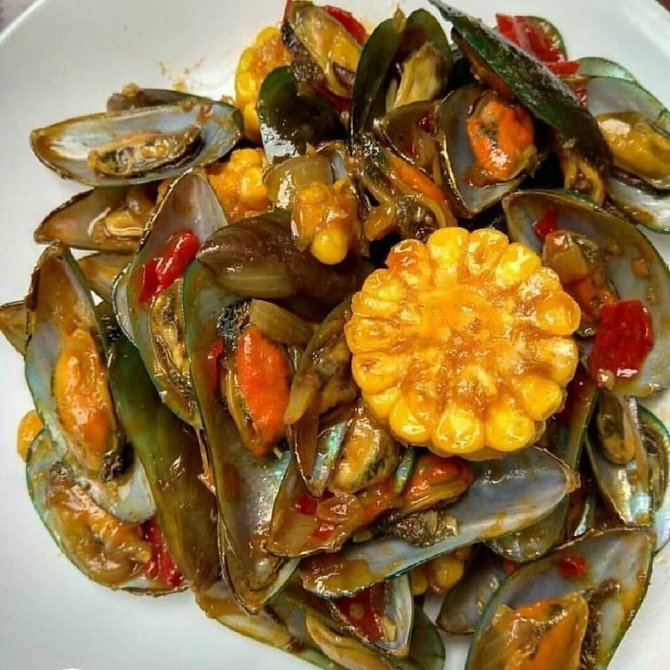 7 resep masakan kerang hijau enak mudah dan kaya nutrisi