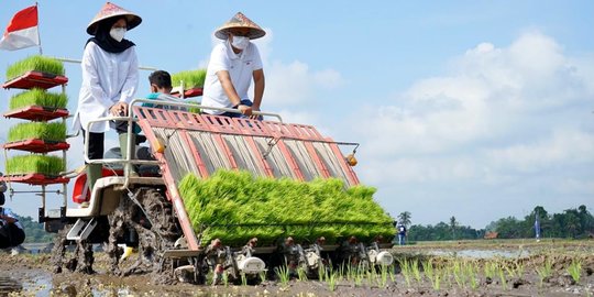 Banyuwangi Tanam Perdana Metode Agro Solution, Produktivitas Diharapkan Naik