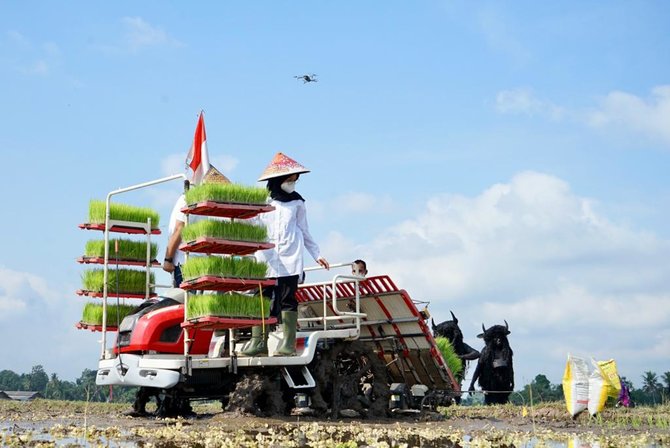 banyuwangi tanam perdana metode agro solution