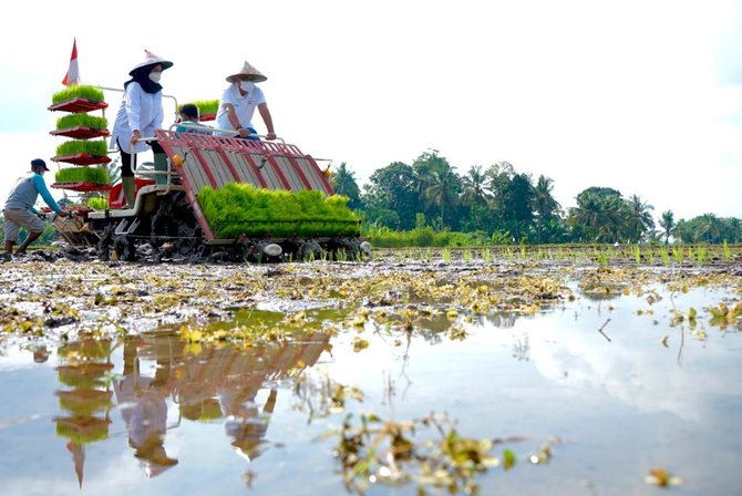 banyuwangi tanam perdana metode agro solution