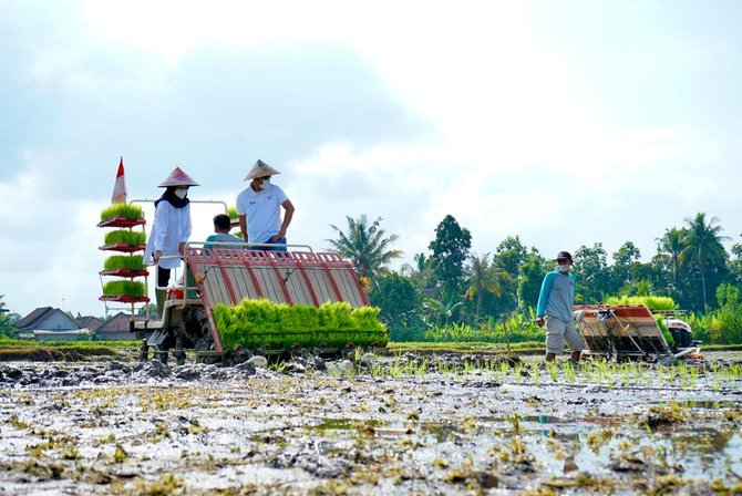 banyuwangi tanam perdana metode agro solution