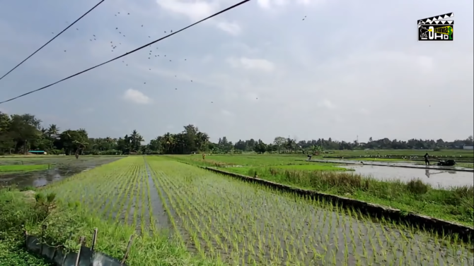 penampakan kampung kelahiran soeharto