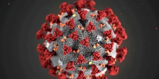 Vietnam Temukan Virus Corona Varian Campuran Baru yang Menyebar Cepat di Udara