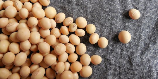 Harga Kedelai Turun, Pemerintah Minta Perajin Tahu dan Tempe Kembali Produksi