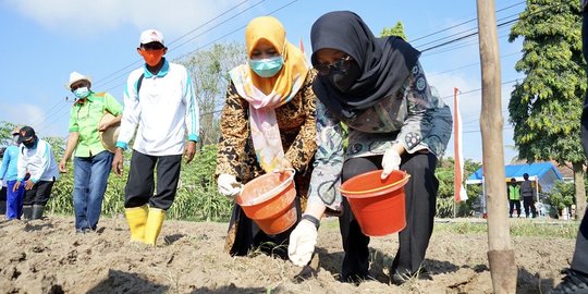 Petani Tanaman Pangan Banyuwangi Digelontor Bantuan 582 Ton Benih Berkualitas