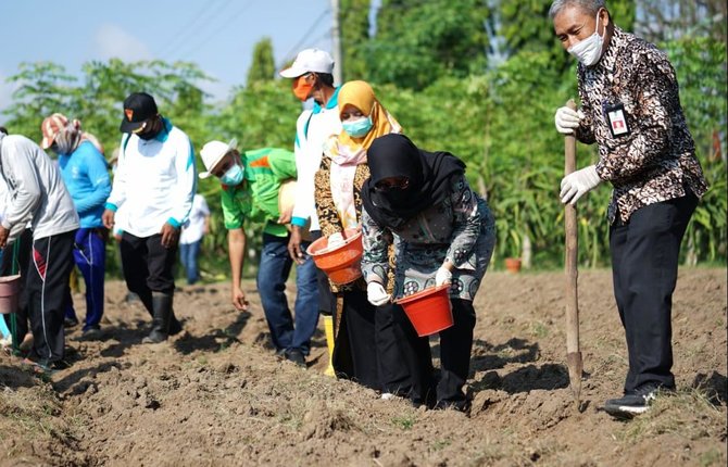 banyuwangi digelontor bantuan