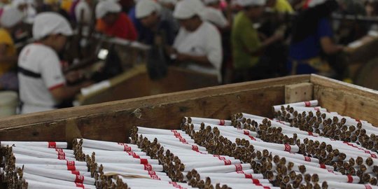 Aturan Tumpang Tindih, Industri Rokok di Indonesia Perlu Regulasi Khusus