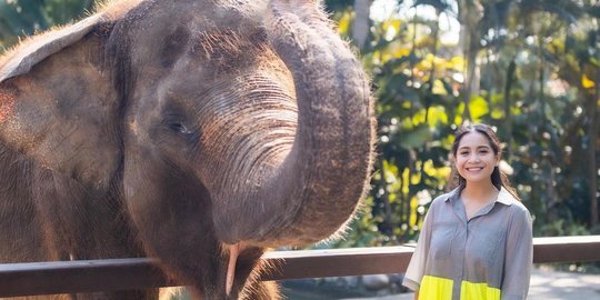 Nagita Ngidam Ketemu Gajah di Kehamilan Kedua, Netizen 'Dibeli Juga Ngga Ya Gajahnya'