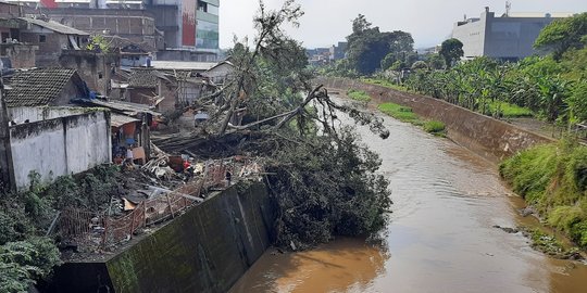 Puluhan Warga di Garut Mengungsi Akibat Pohon Beringin Tumbang