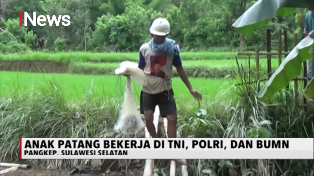 kisah penjual ikan besarkan 3 anak jadi orang sukses