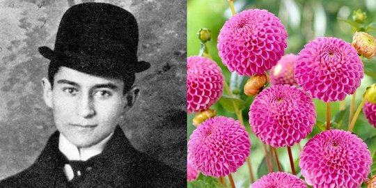 3 Juni: Peringati Kematian Franz Kafka, Sastrawan Dunia yang Tenar Setelah Tiada