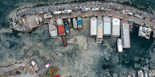 Penampakan Ingus Laut Cemari Pantai di Istanbul