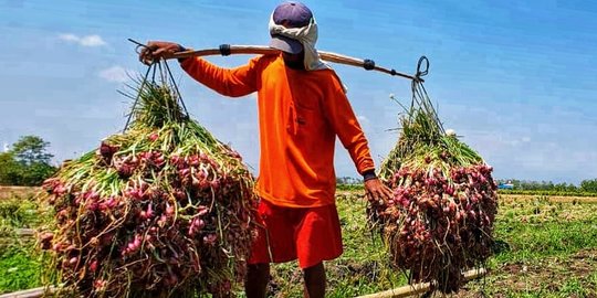 Kementan: Chili Jadi Pintu Masuk Ekspor Pertanian Indonesia ke Amerika Latin