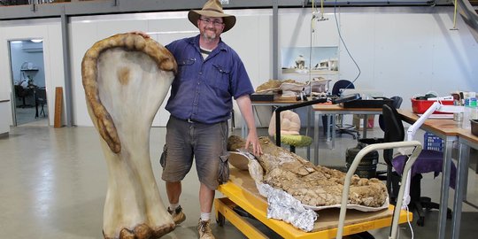 Ilmuwan Temukan Spesies Baru Dinosaurus Terbesar di Australia