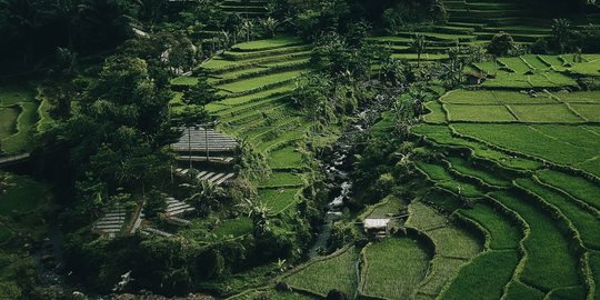 Ketenangan Desa Malasari Bogor, Tak Kalah dari Ubud