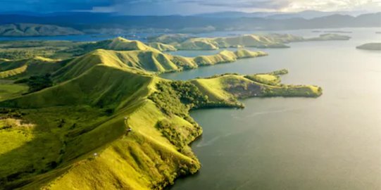 Bupati Merauke Usul Lumbung Pangan Nasional Saat Bicara Otsus Papua