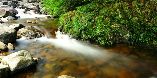 7 Fungsi Sungai Beserta Cara Menjaganya yang Wajib Diketahui Manusia