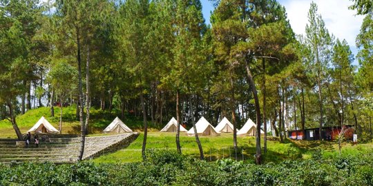 Nikmati Suasana Glamping Mewah di The Kaldera Toba, Bak Hotel Bintang Lima