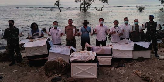 Polisi Amankan Pelaku Penyelundupan 77.971 Benih Lobster di Banten