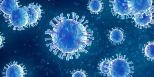 Covid-19 Menular Cepat di Kudus, Pemprov Jateng Tunggu Hasil Penelitian Virus