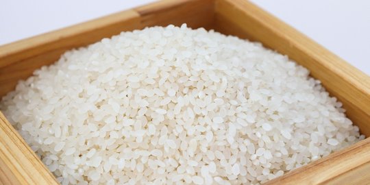 7 Cara Menyimpan Beras dengan Baik Agar Bebas Dari Kutu