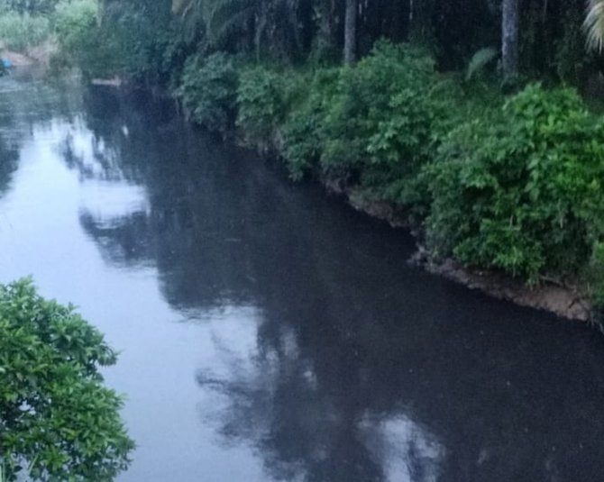 viral air sungai di labura hitam diduga tercemar limbah begini penampakannya