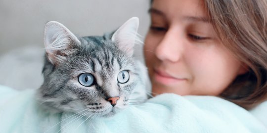 Salah Kaprah, Cat Lover Wajib Pahami 5 Hal Terlarang untuk Kucing Kesayanganmu