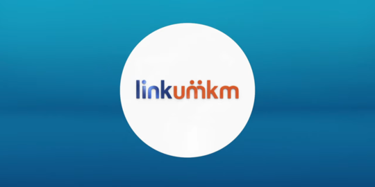 Link UMKM, Online Platform agar UMKM Tanah Air Naik Kelas dengan Segala Fasilitas