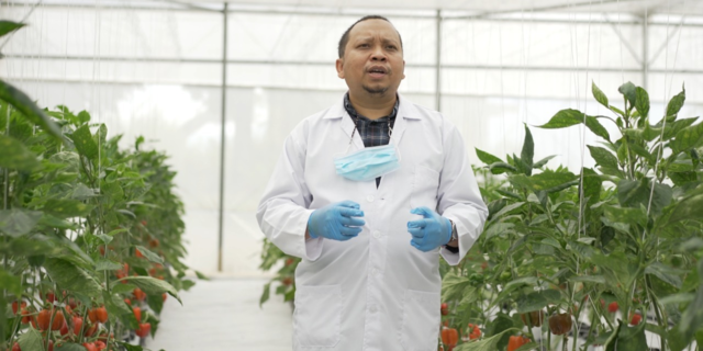 Prinsip Kehati-hatian Agro Jabar Sukseskan Petani Milenial