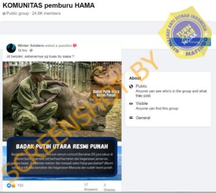 hoaks badak putih utara punah