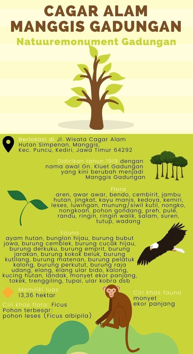 infografis cagar alam manggis