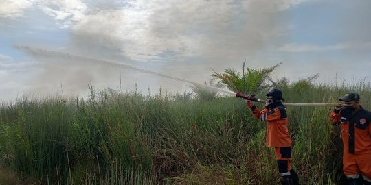 2 Hektare Gambut di Ogan Ilir Terbakar, Petugas Selidiki Pemilik Lahan