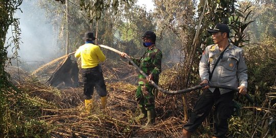 Belasan Hektare Lahan di Sumsel Terbakar dalam 2 Bulan Terakhir