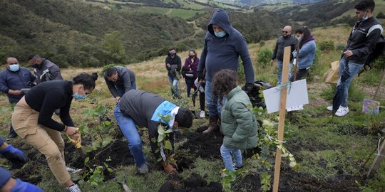Penguburan Abu Korban Covid-19 di Kolombia