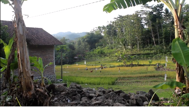 viral desa unik di kebumen