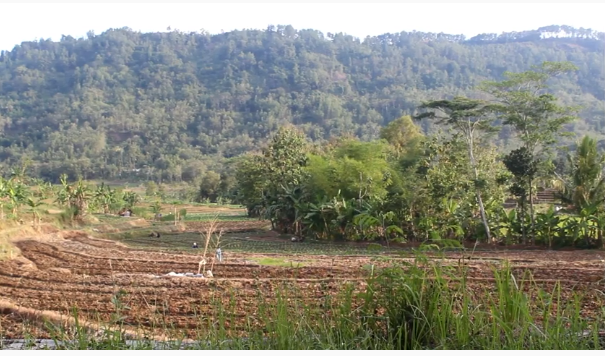 viral desa unik di kebumen