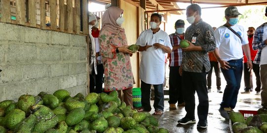 Frozen Fruit Banyuwangi Sukses Tembus Pasar Jakarta hingga Mataram