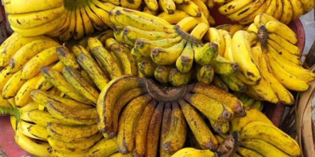 10 Manfaat Pisang Barangan Bagi Kesehatan Sumber Energi Yang Baik Untuk Diet Merdeka 