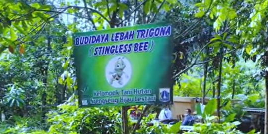 Manjakan Pengunjung, Hutan Kota Ini Ajak Warga Cicipi Madu Langsung dari Sarang Lebah