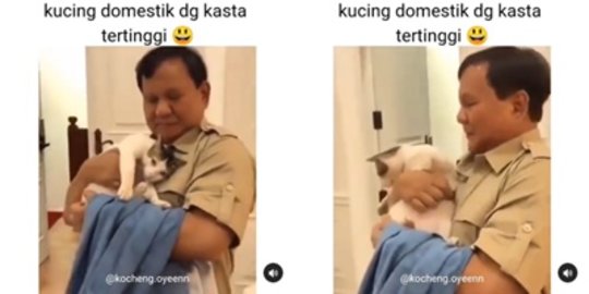 Potret Manja Bobby dengan Prabowo Subianto, Disebut Kucing Domestik Kasta Tertinggi