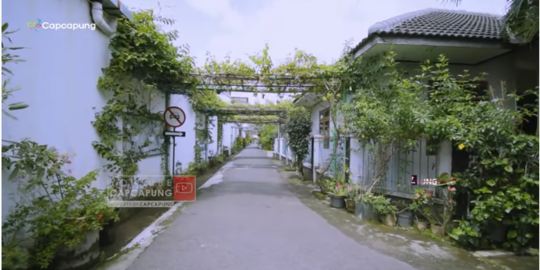 Dulu Gersang, Gang Kampung Ini Kini Indah Banget & jadi Lorong Tanaman Mahal