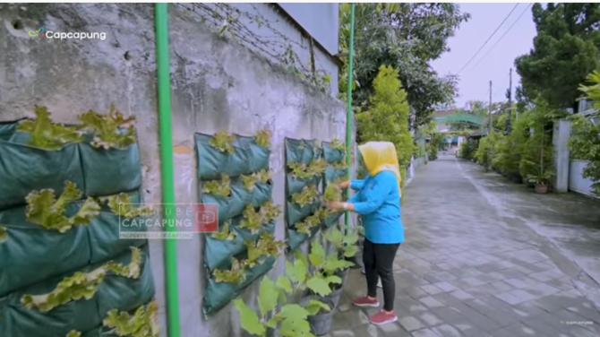 gang kampung ini kini indah banget amp jadi lorong tanaman mahal