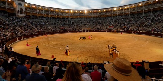 Melihat Matador Vs Banteng di Masa Pandemi