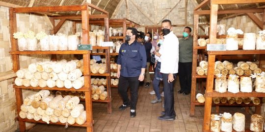 Dukung Program BUMN Kembangkan Pengobatan Herbal, Kini Sumut Punya Kebun Toga