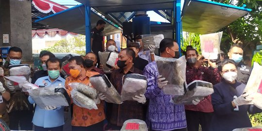 BNN Bali Musnahkan Ganja dan Sabu di Hari Anti Narkotika Internasional