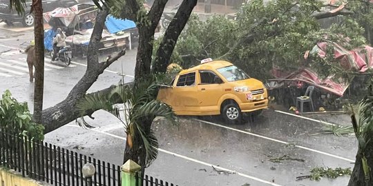 Pohon Tumbang Timpa Angkot di Medan, 2 Pegawai RSUP Adam Malik Meninggal Dunia