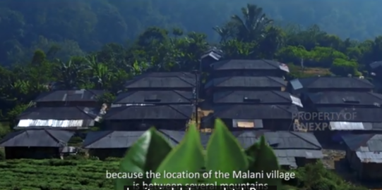 Mengenal Keunikan Kampung Tokyo di Bogor, Pemandangan Indah Dikelilingi Kebun Teh