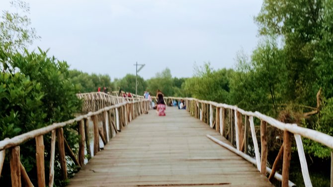 hutan mangrove angke kapuk